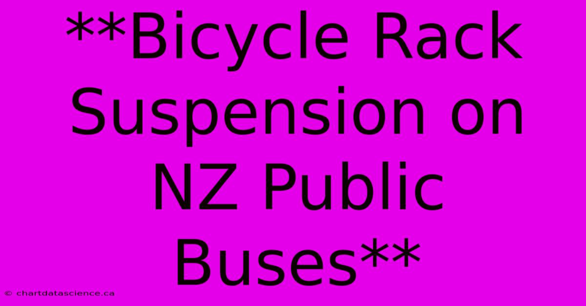 **Bicycle Rack Suspension On NZ Public Buses**