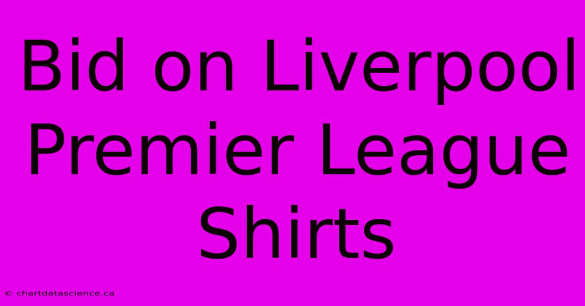 Bid On Liverpool Premier League Shirts