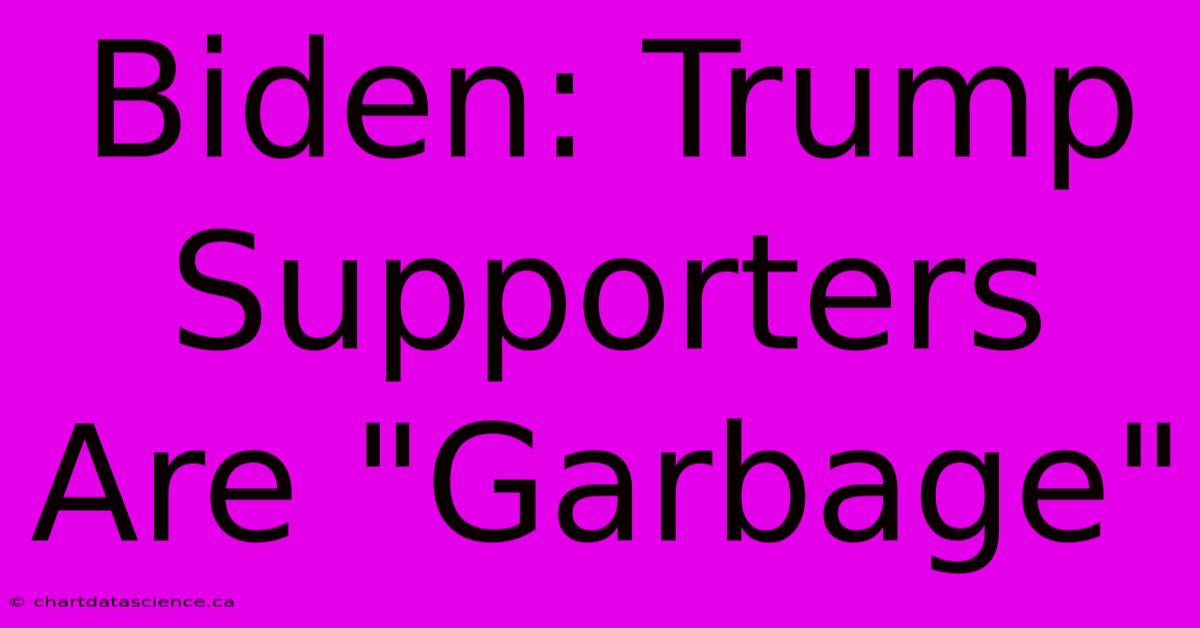 Biden: Trump Supporters Are 