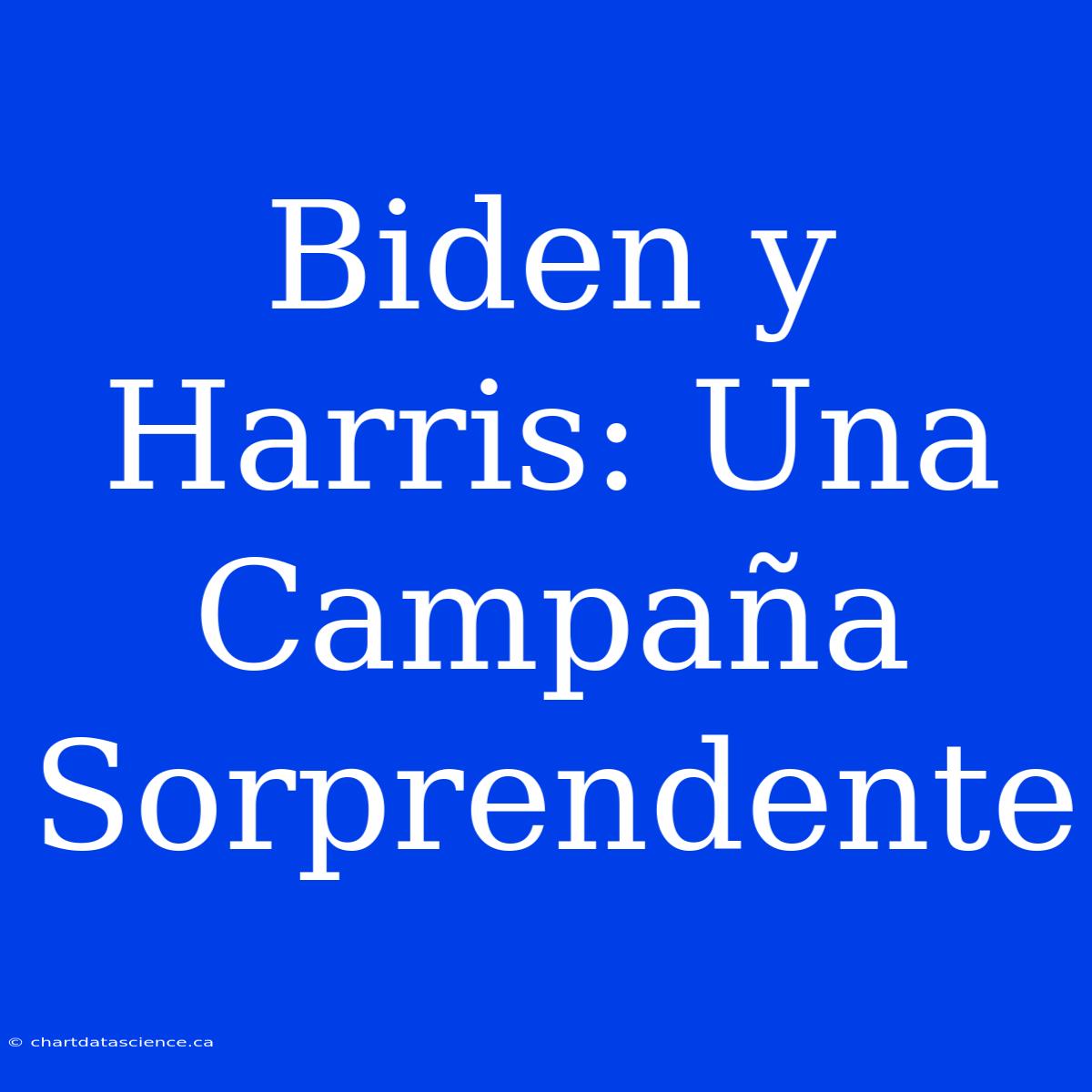 Biden Y Harris: Una Campaña Sorprendente