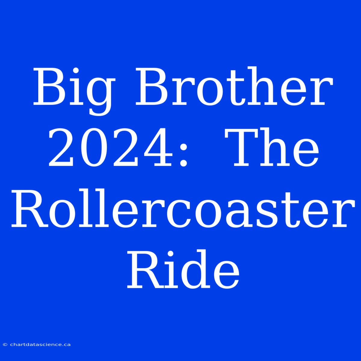 Big Brother 2024:  The Rollercoaster Ride