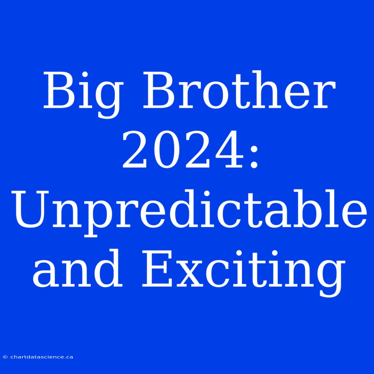 Big Brother 2024:  Unpredictable And Exciting