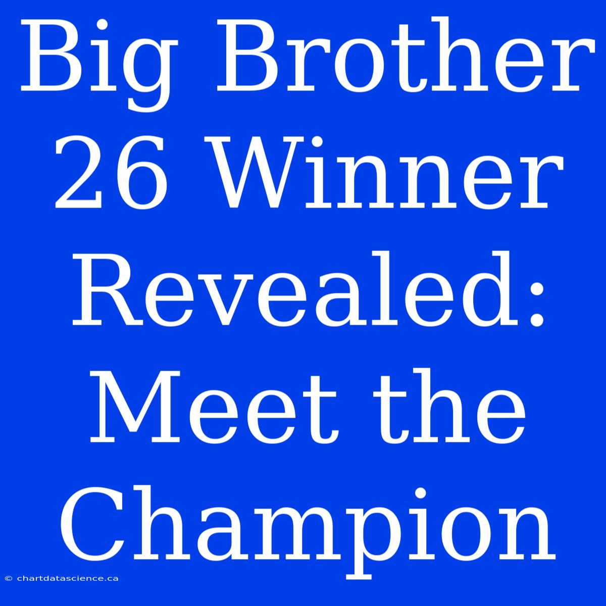 Big Brother 26 Winner Revealed: Meet The Champion