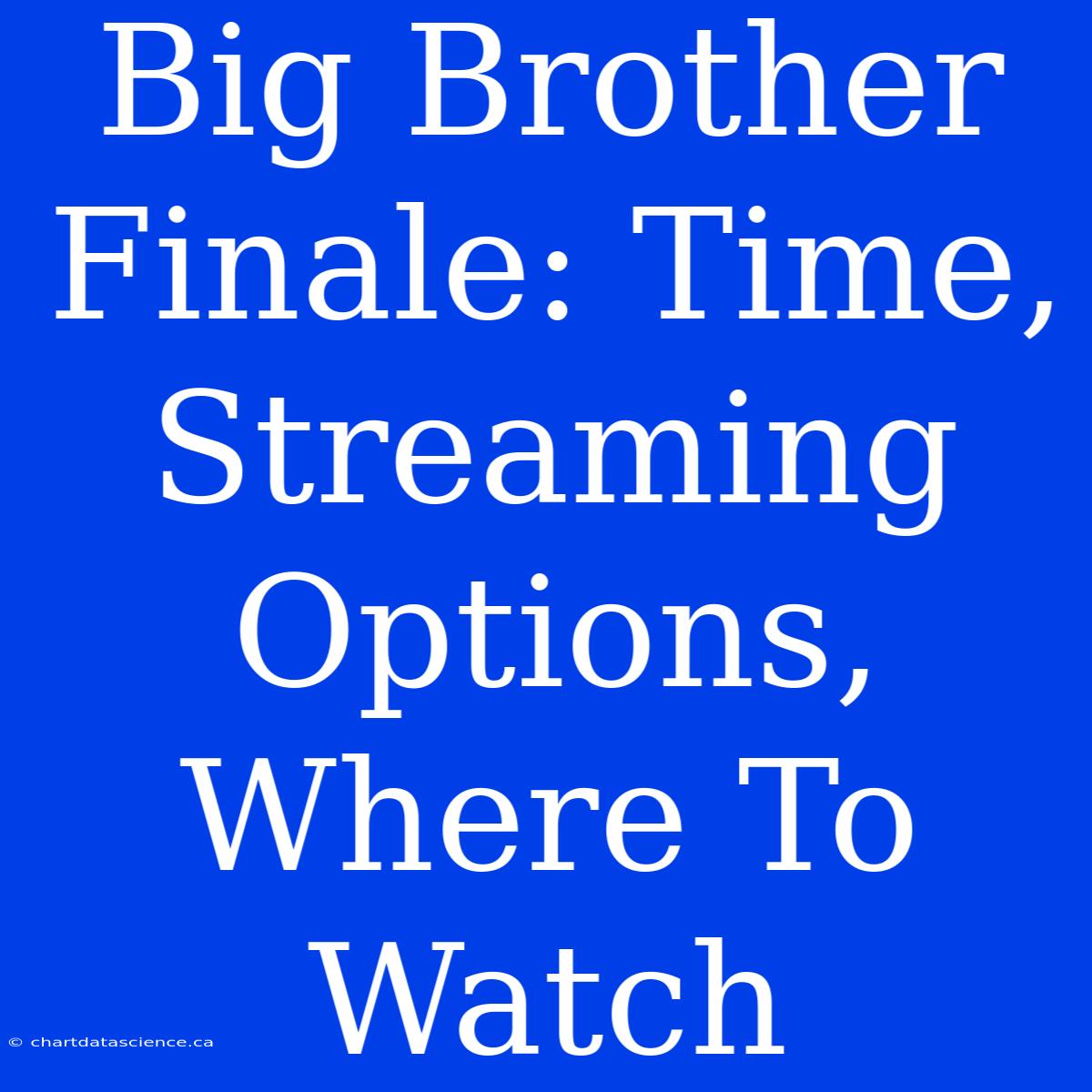 Big Brother Finale: Time, Streaming Options, Where To Watch