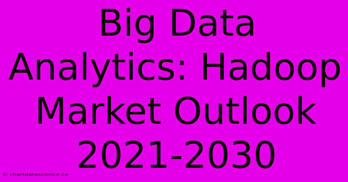 Big Data Analytics: Hadoop Market Outlook 2021-2030 