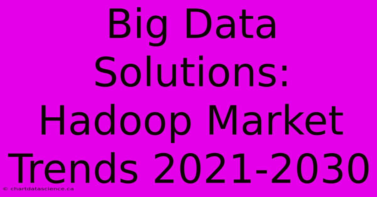 Big Data Solutions: Hadoop Market Trends 2021-2030