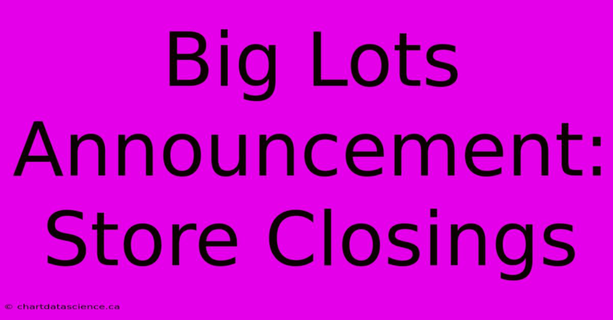 Big Lots Announcement: Store Closings