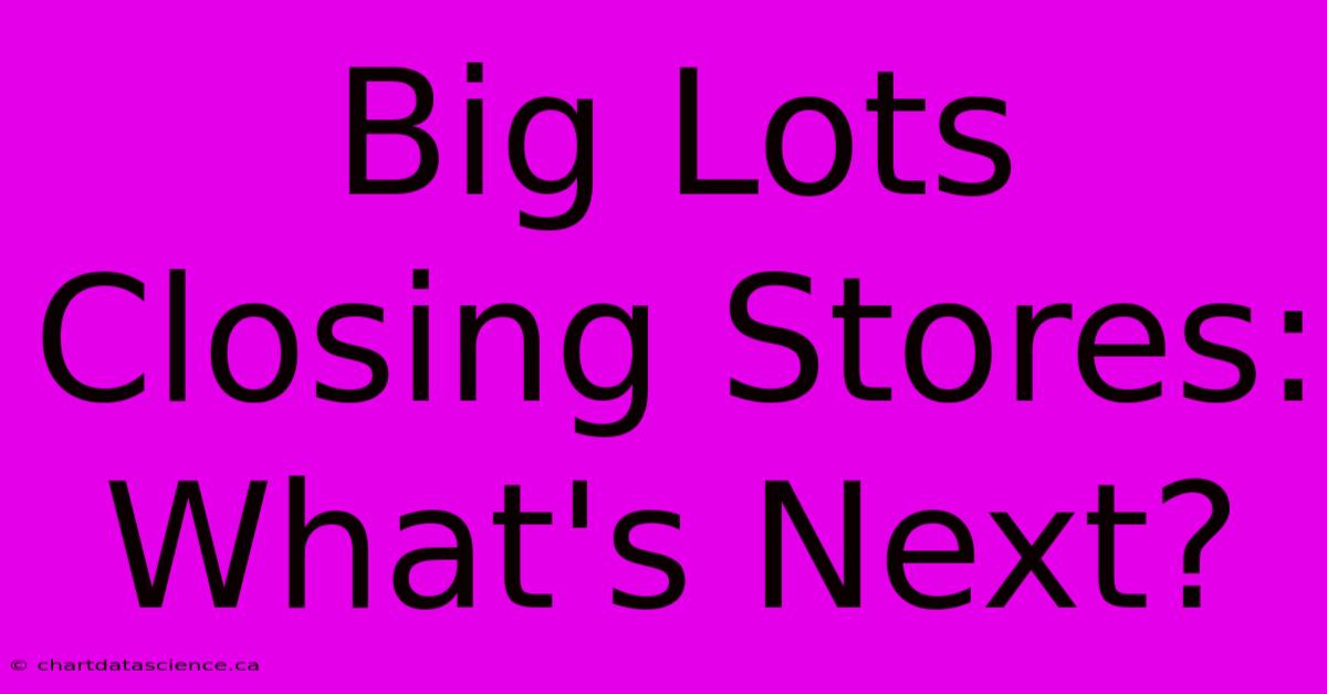 Big Lots Closing Stores: What's Next?