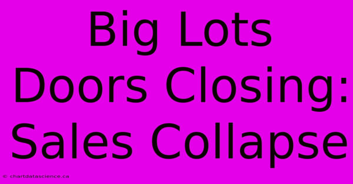 Big Lots Doors Closing: Sales Collapse