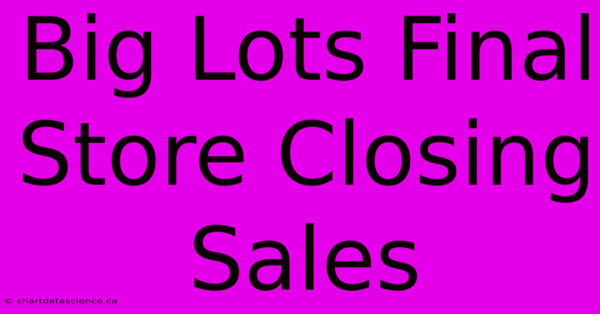 Big Lots Final Store Closing Sales