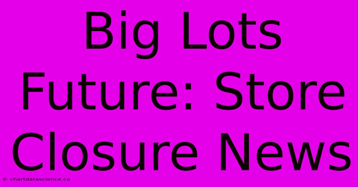 Big Lots Future: Store Closure News