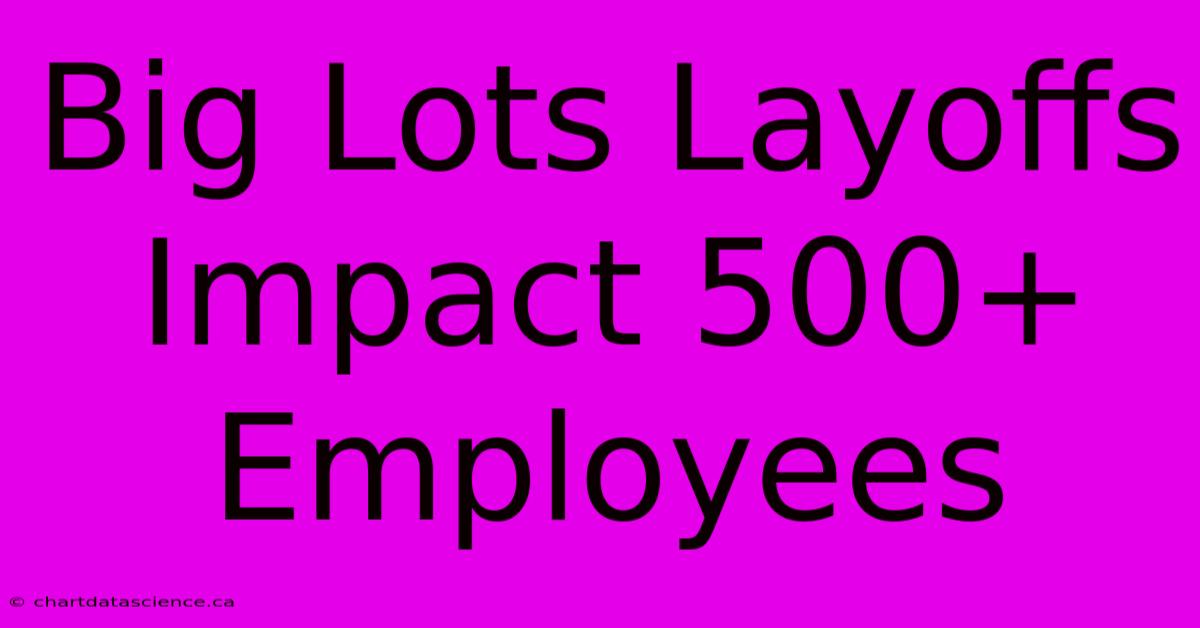 Big Lots Layoffs Impact 500+ Employees