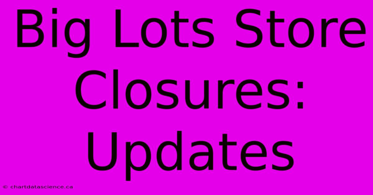 Big Lots Store Closures: Updates