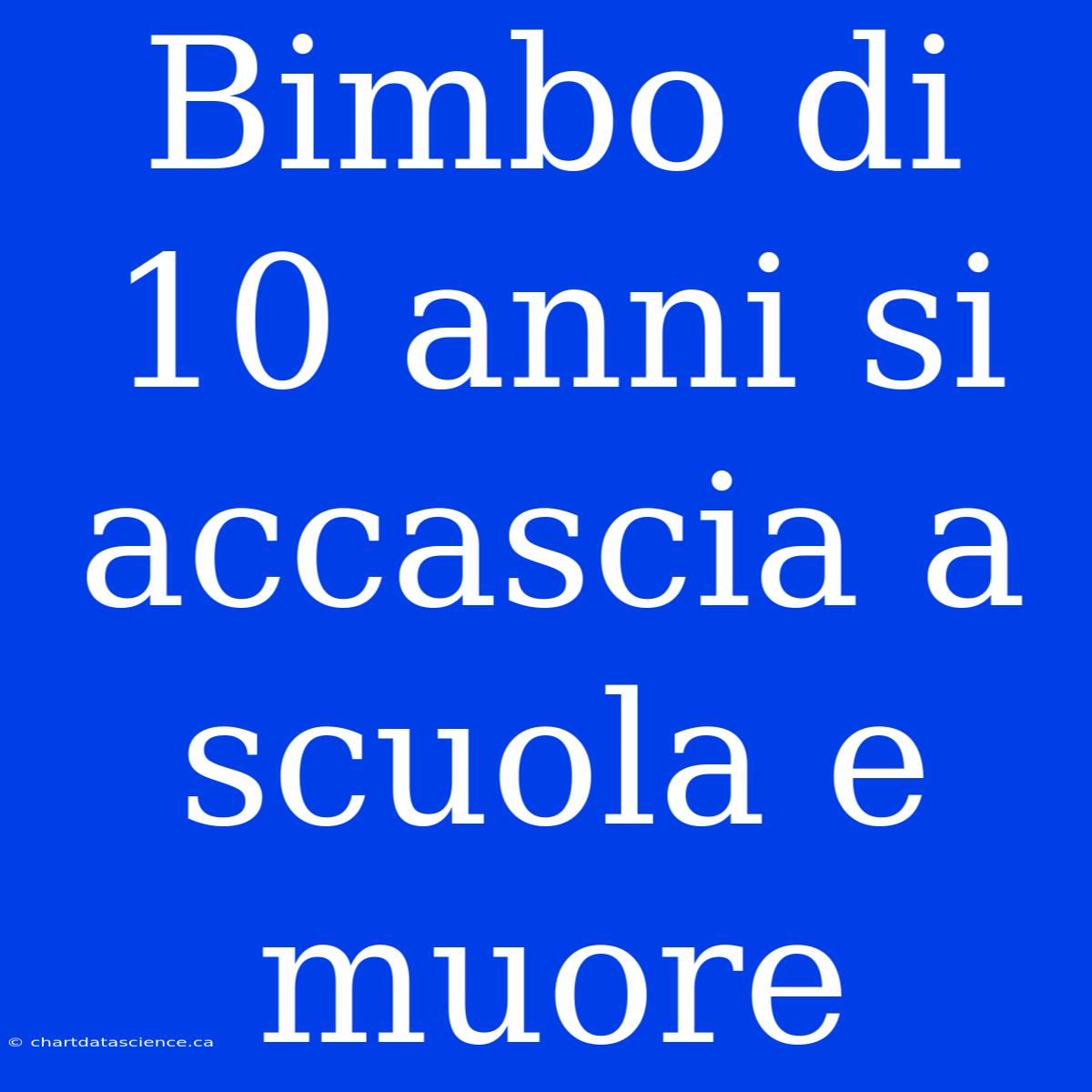 Bimbo Di 10 Anni Si Accascia A Scuola E Muore