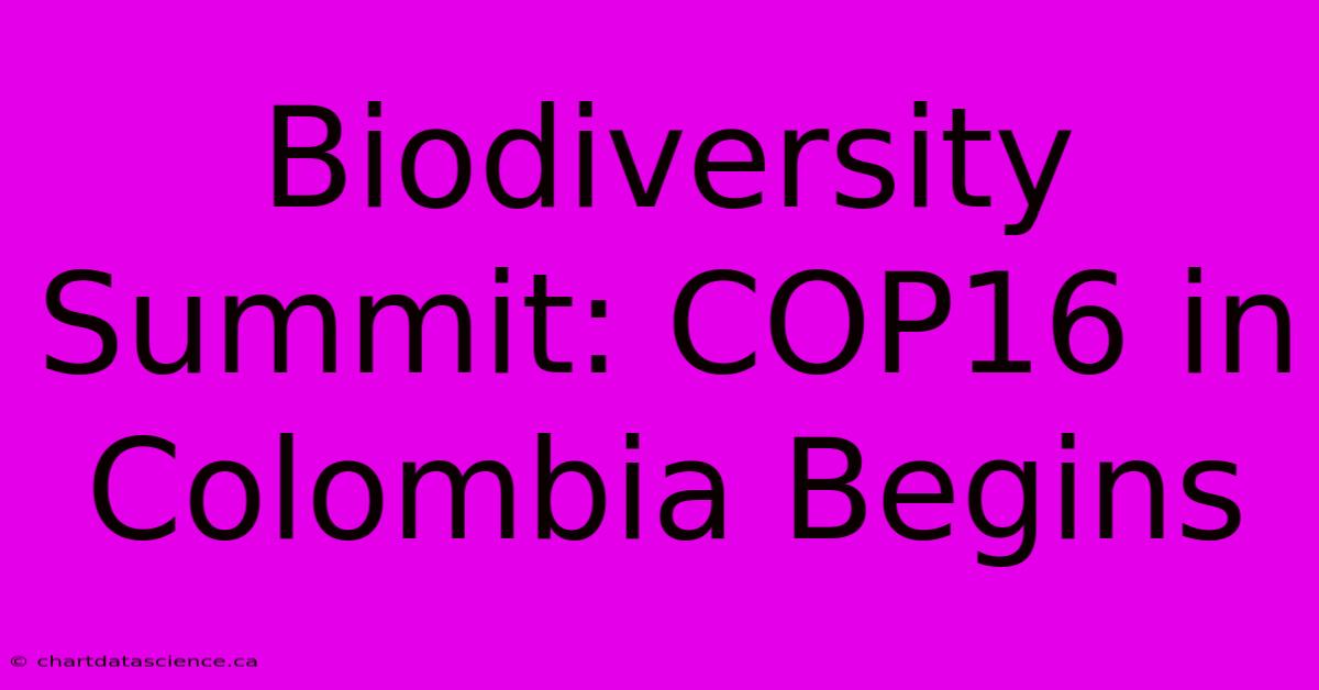 Biodiversity Summit: COP16 In Colombia Begins 