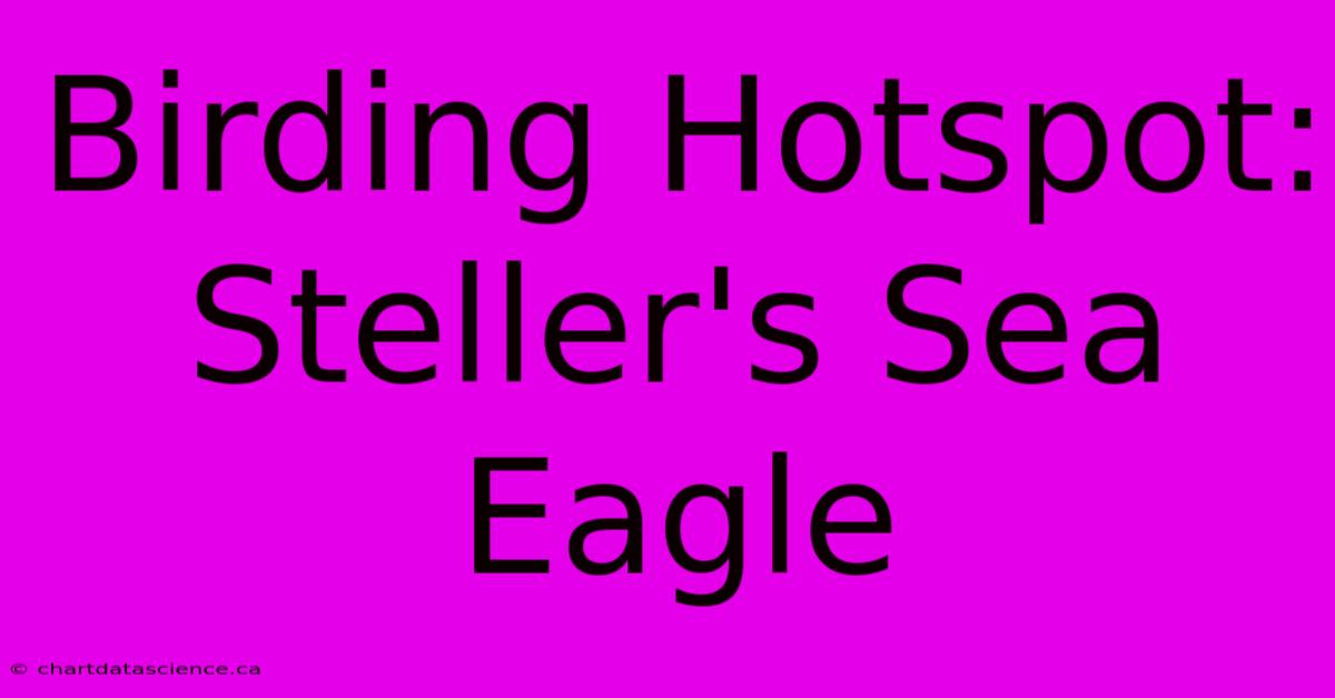 Birding Hotspot: Steller's Sea Eagle