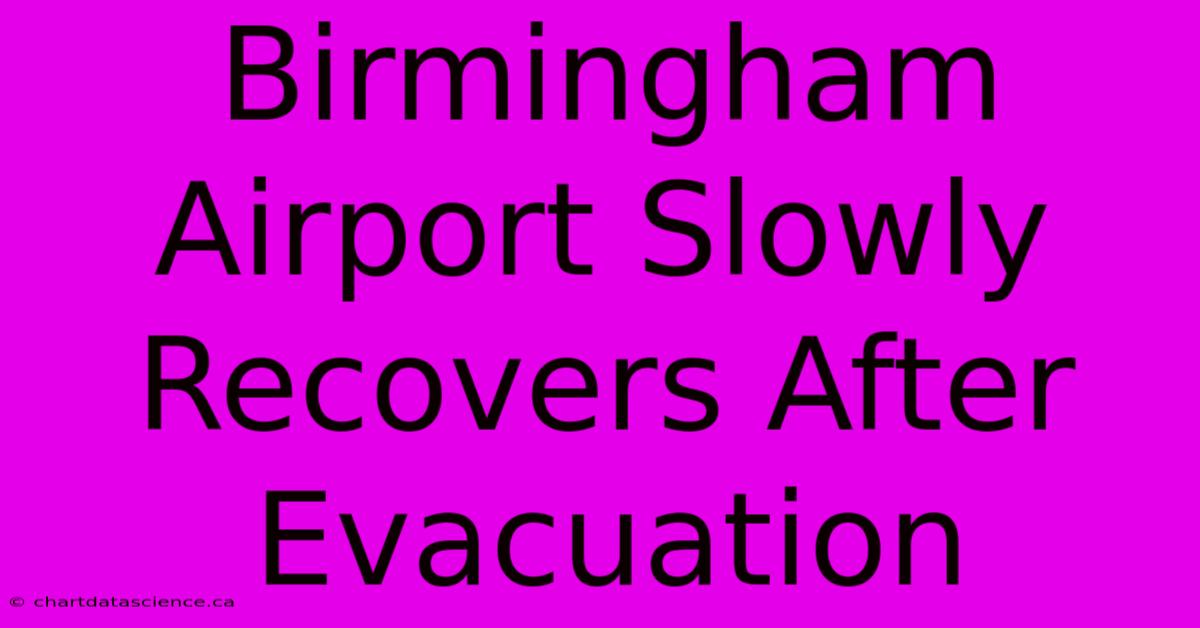 Birmingham Airport Slowly Recovers After Evacuation