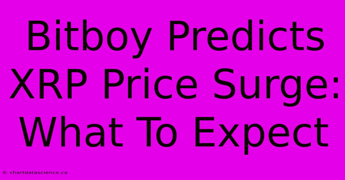 Bitboy Predicts XRP Price Surge: What To Expect