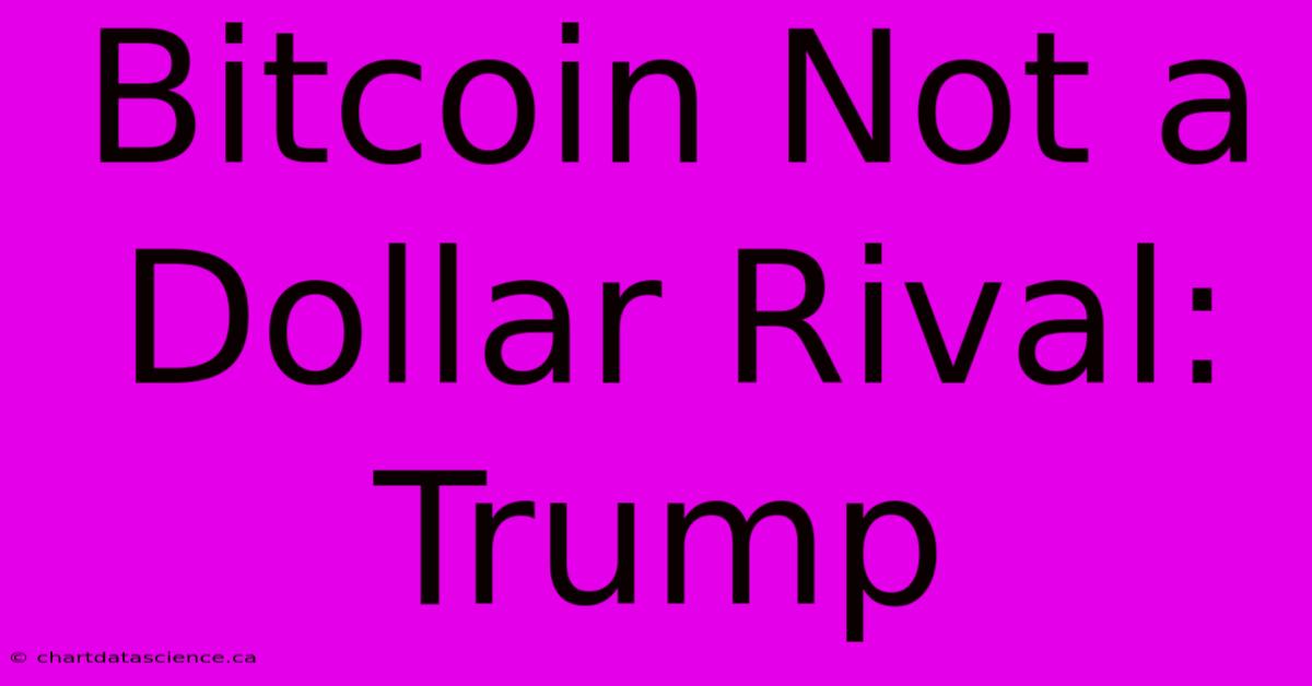 Bitcoin Not A Dollar Rival: Trump