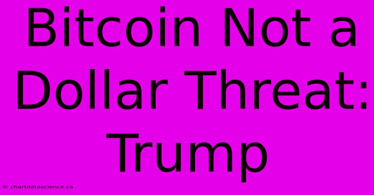 Bitcoin Not A Dollar Threat: Trump