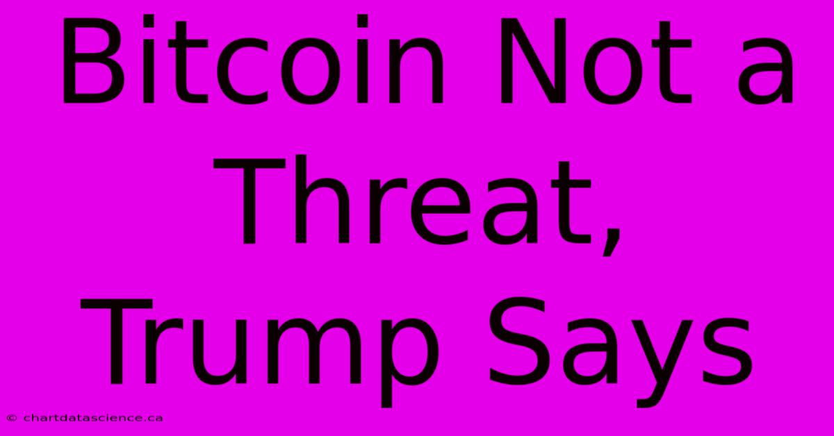 Bitcoin Not A Threat, Trump Says