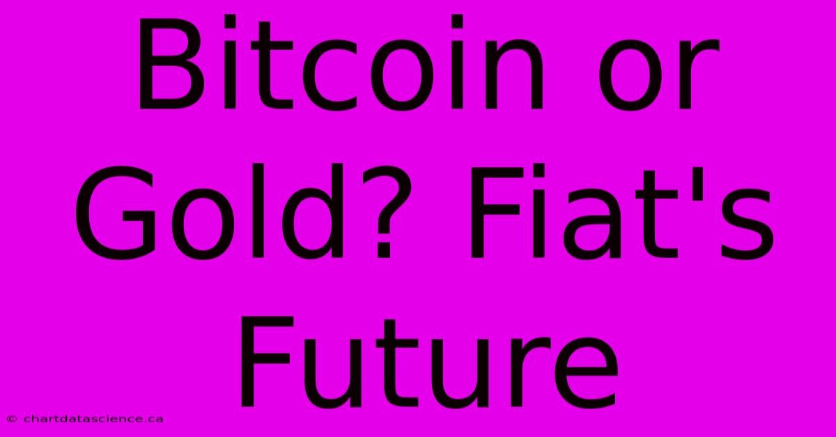 Bitcoin Or Gold? Fiat's Future