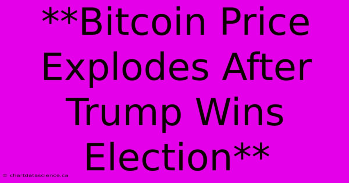 **Bitcoin Price Explodes After Trump Wins Election** 