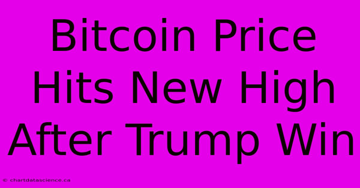 Bitcoin Price Hits New High After Trump Win