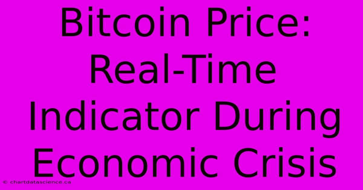 Bitcoin Price: Real-Time Indicator During Economic Crisis 