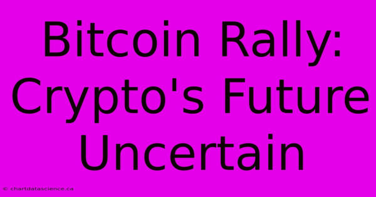 Bitcoin Rally: Crypto's Future Uncertain