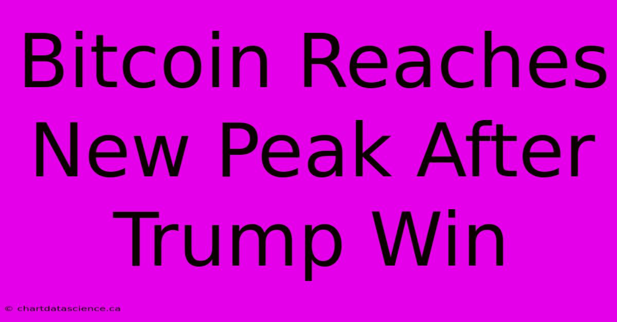 Bitcoin Reaches New Peak After Trump Win 