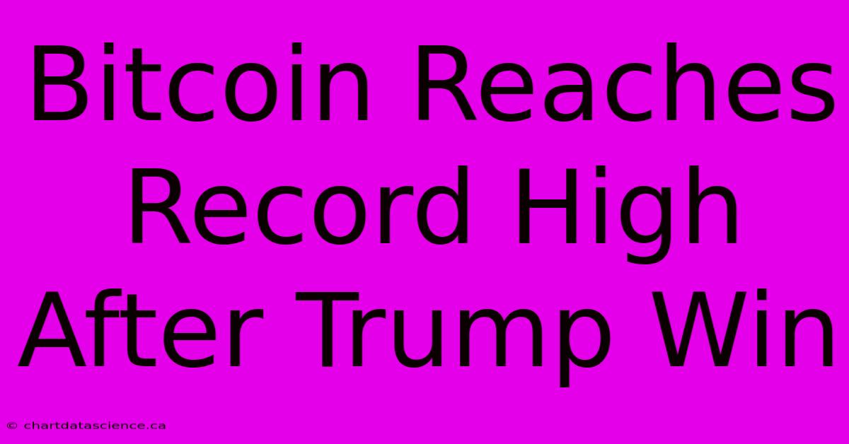 Bitcoin Reaches Record High After Trump Win 