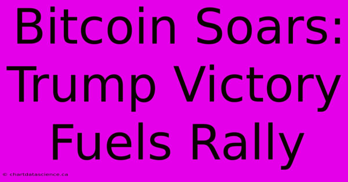 Bitcoin Soars: Trump Victory Fuels Rally