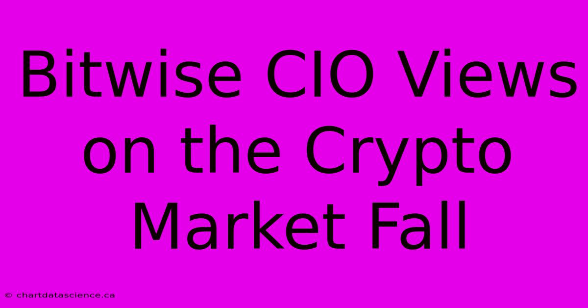 Bitwise CIO Views On The Crypto Market Fall