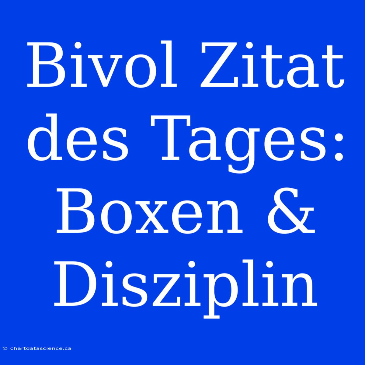 Bivol Zitat Des Tages: Boxen & Disziplin