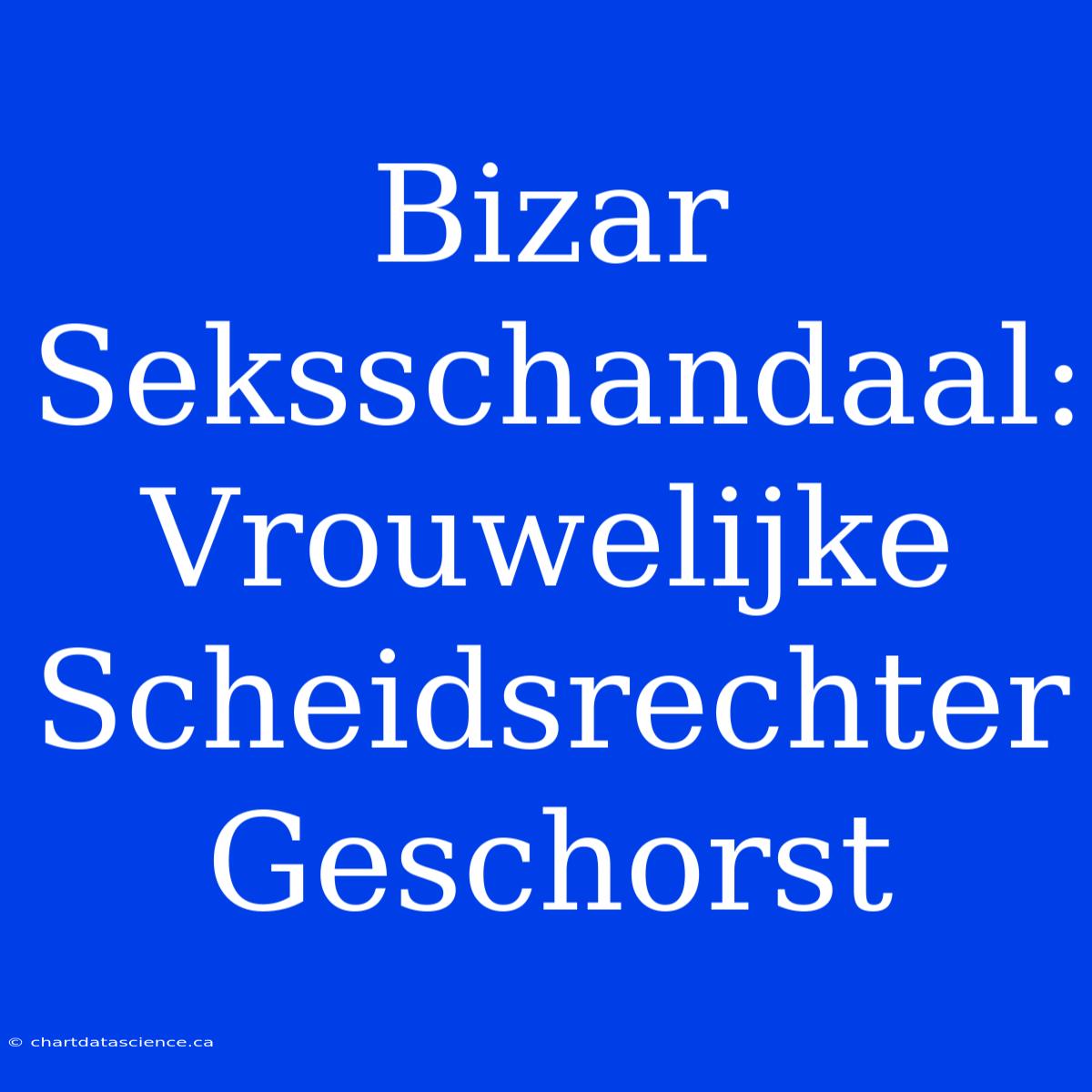 Bizar Seksschandaal: Vrouwelijke Scheidsrechter Geschorst