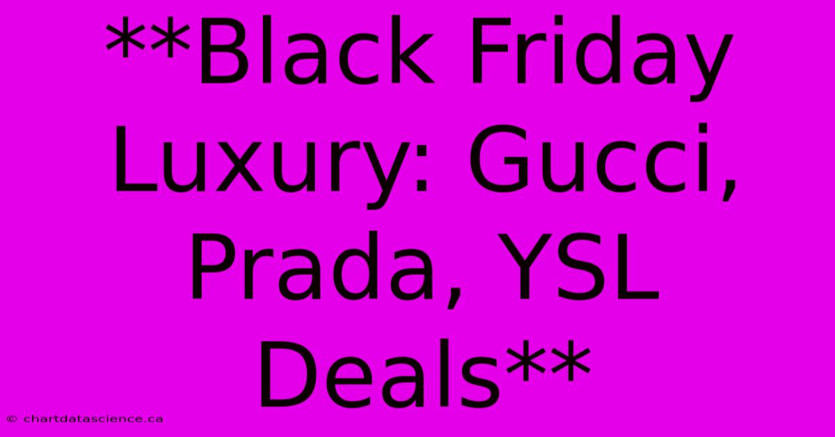 **Black Friday Luxury: Gucci, Prada, YSL Deals** 