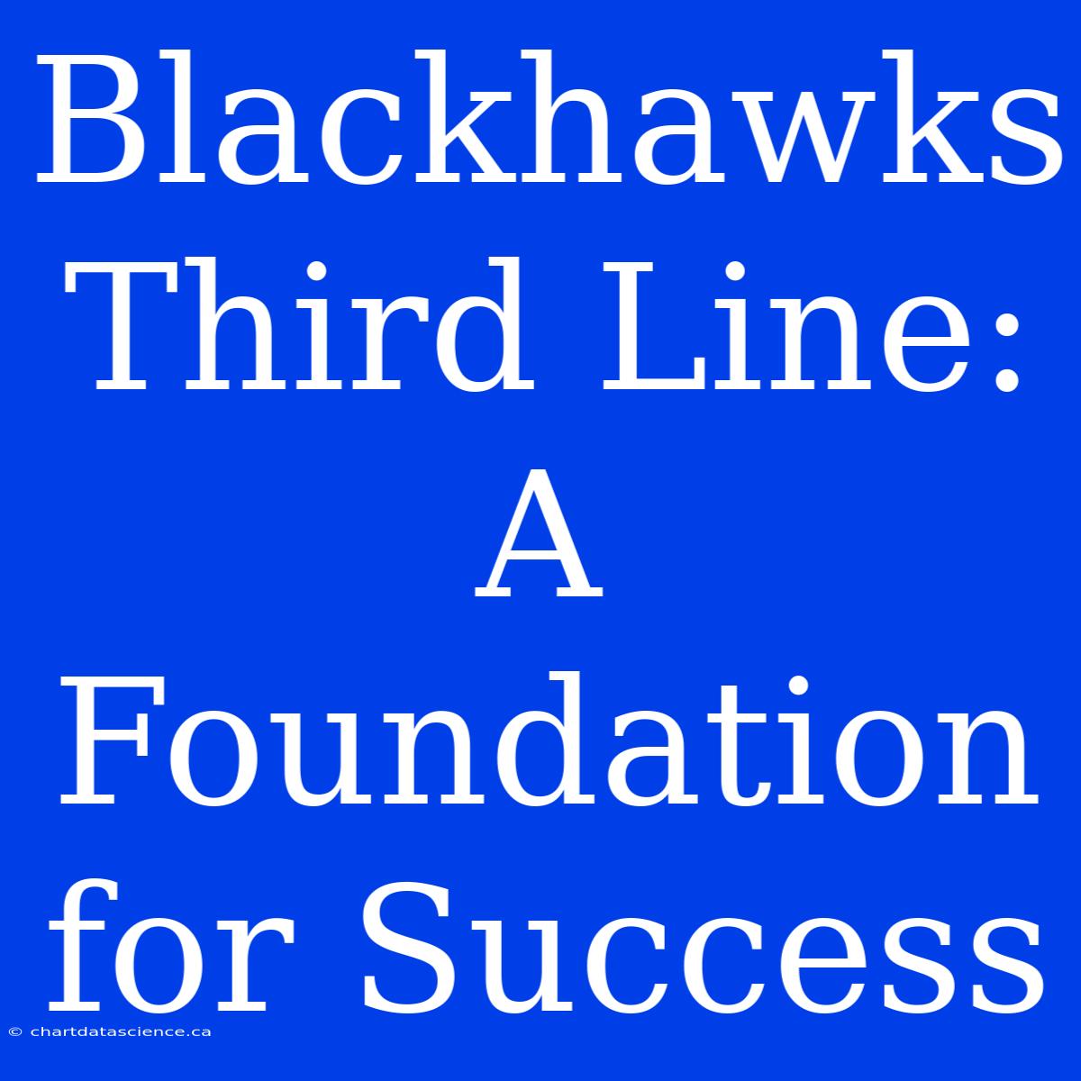 Blackhawks Third Line: A Foundation For Success