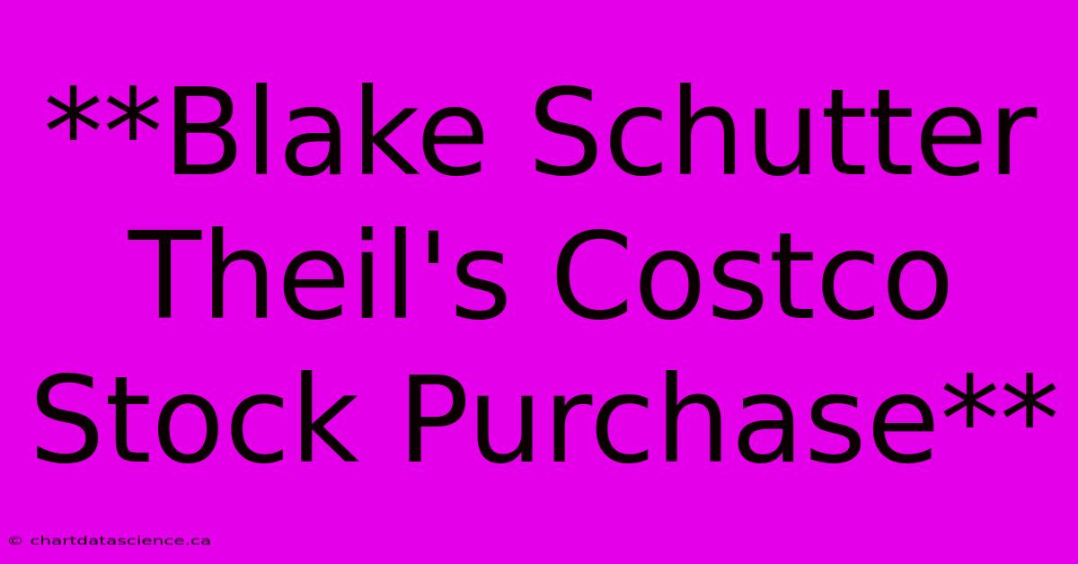 **Blake Schutter Theil's Costco Stock Purchase** 