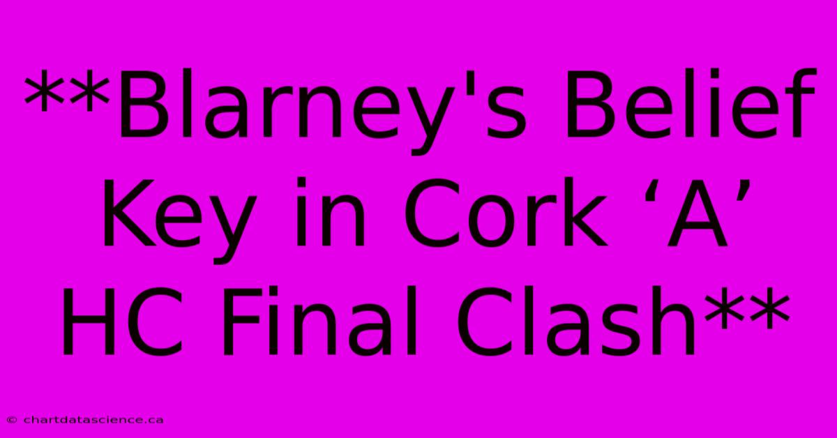 **Blarney's Belief Key In Cork ‘A’ HC Final Clash**