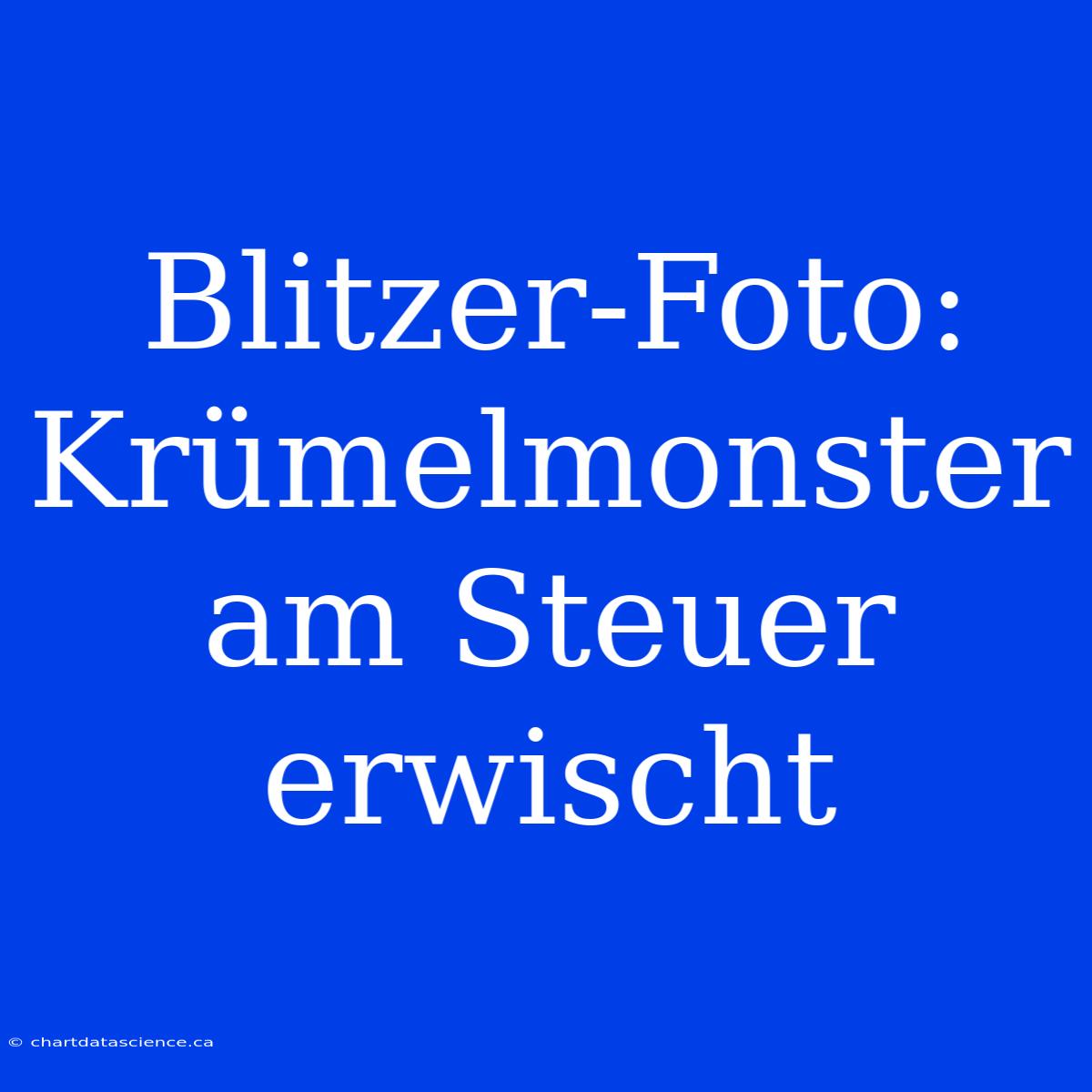 Blitzer-Foto: Krümelmonster Am Steuer Erwischt