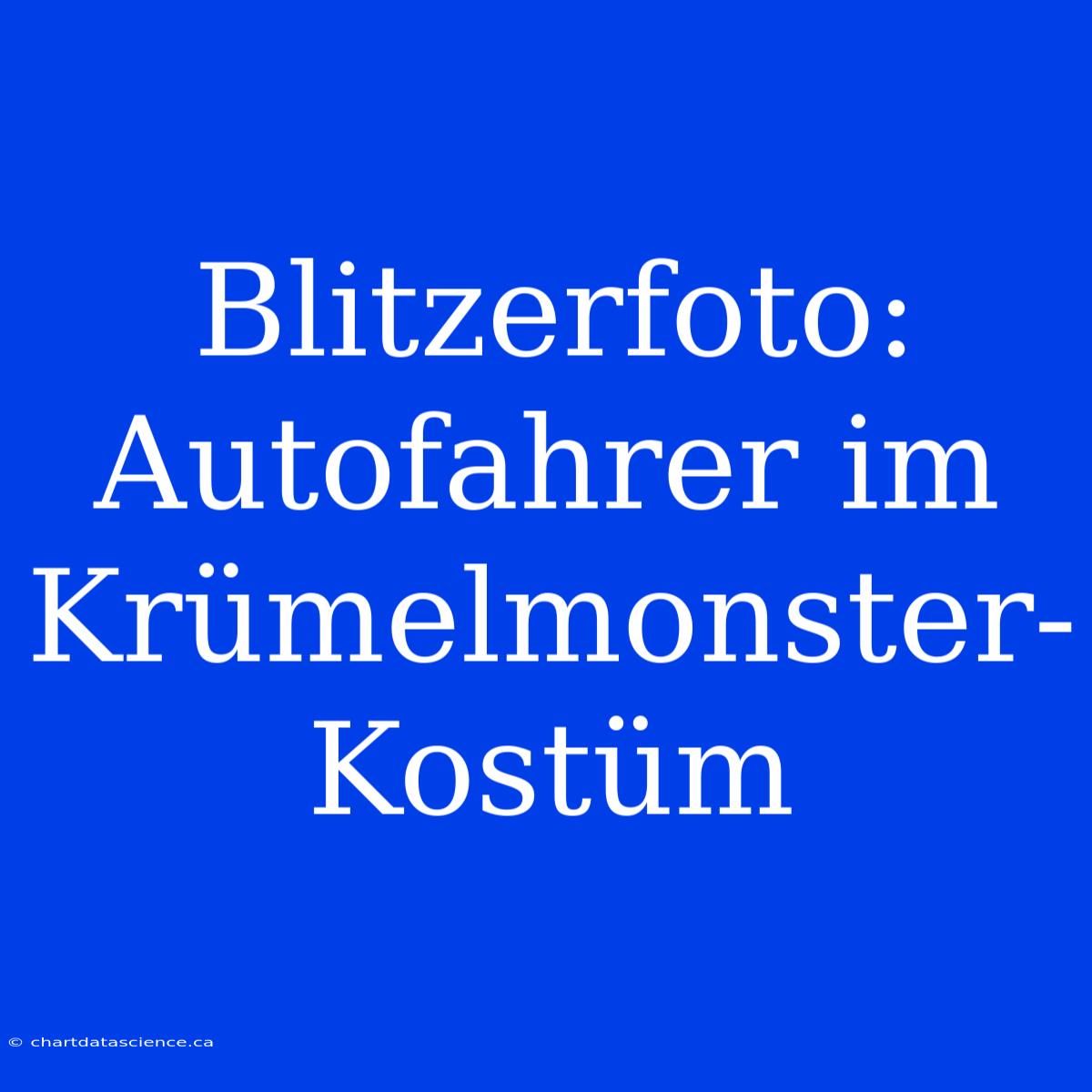 Blitzerfoto: Autofahrer Im Krümelmonster-Kostüm