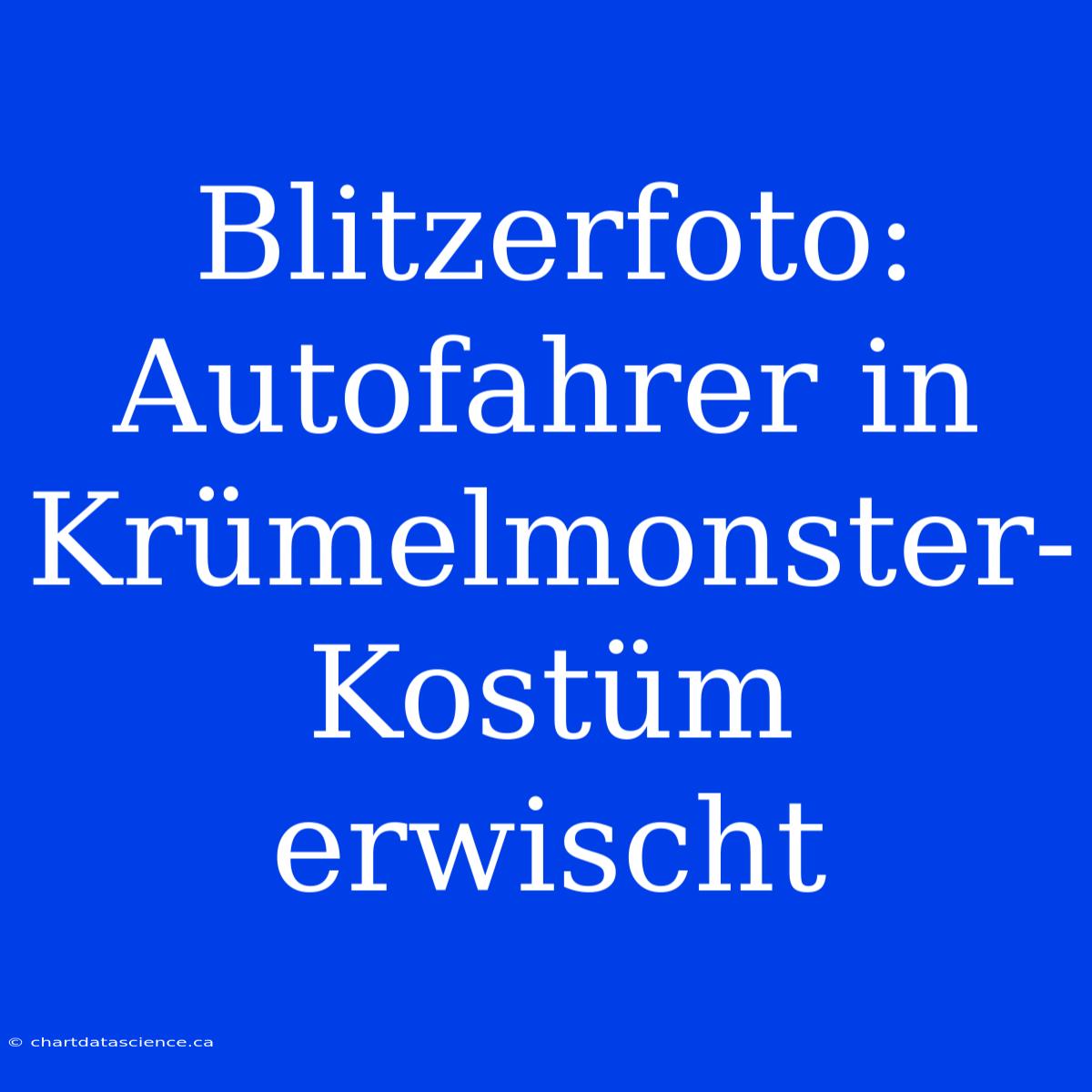 Blitzerfoto: Autofahrer In Krümelmonster-Kostüm Erwischt