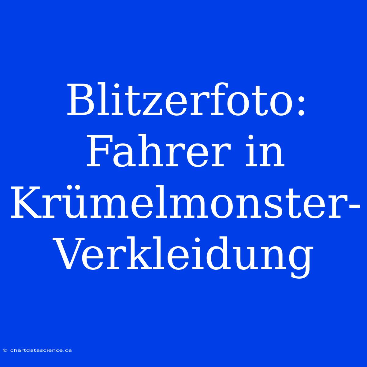 Blitzerfoto: Fahrer In Krümelmonster-Verkleidung