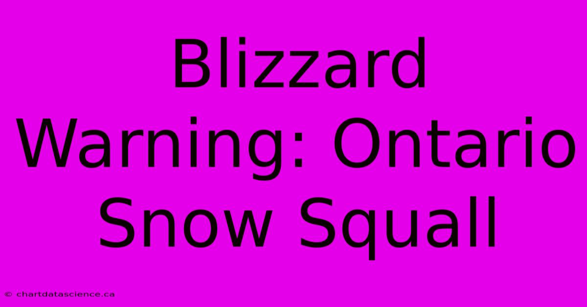 Blizzard Warning: Ontario Snow Squall