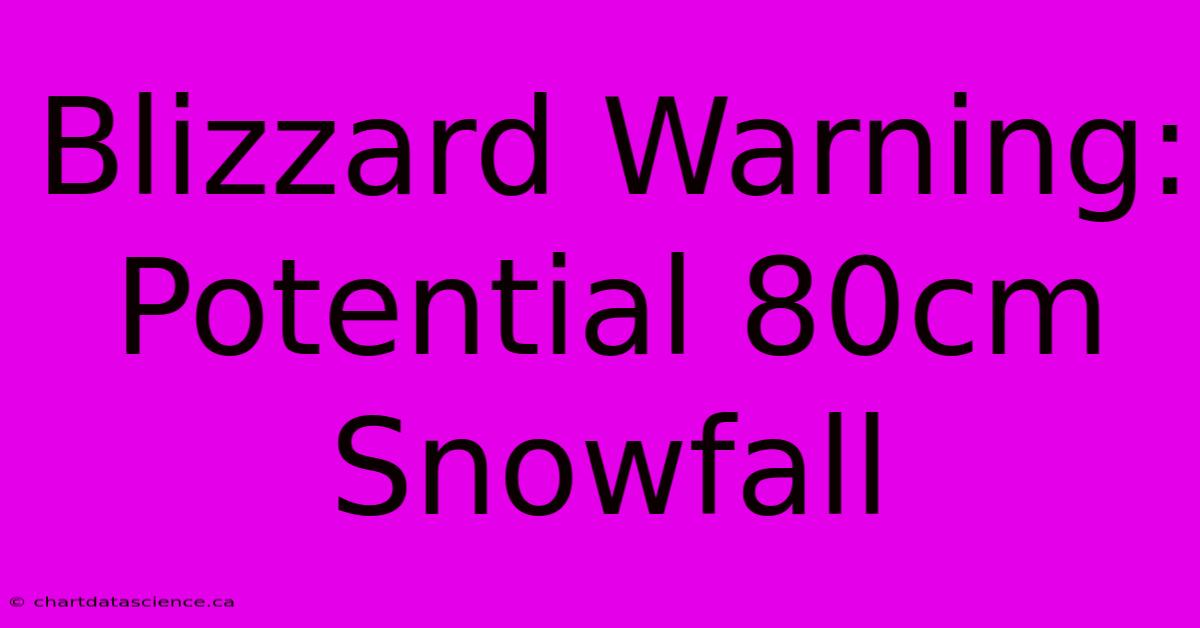 Blizzard Warning: Potential 80cm Snowfall