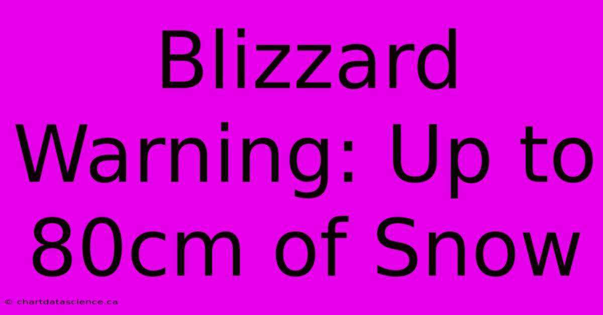 Blizzard Warning: Up To 80cm Of Snow