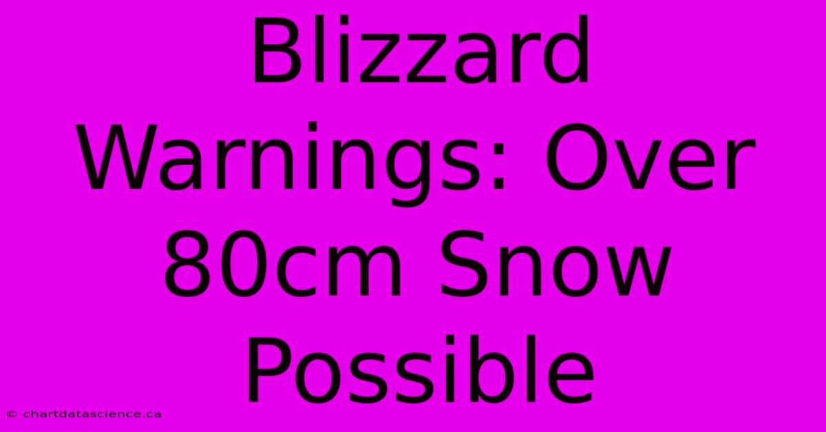 Blizzard Warnings: Over 80cm Snow Possible