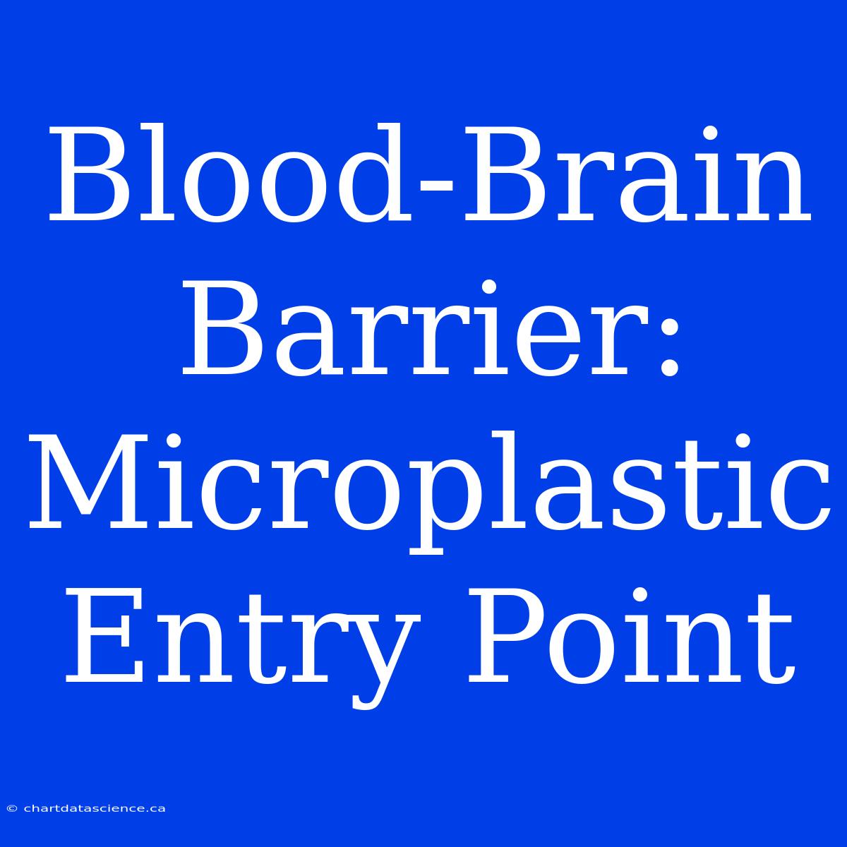 Blood-Brain Barrier: Microplastic Entry Point