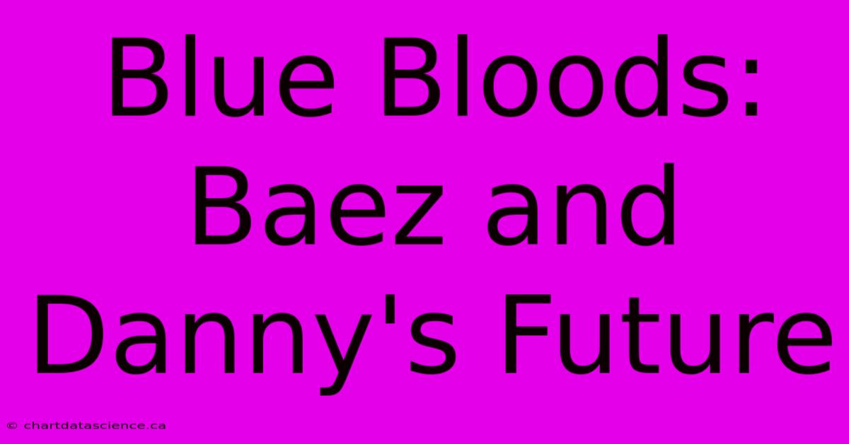 Blue Bloods:  Baez And Danny's Future